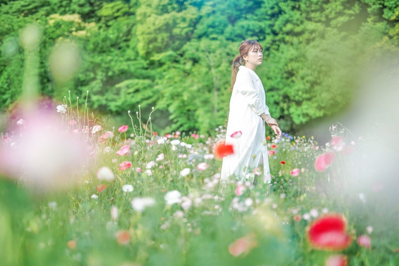 新月の希望