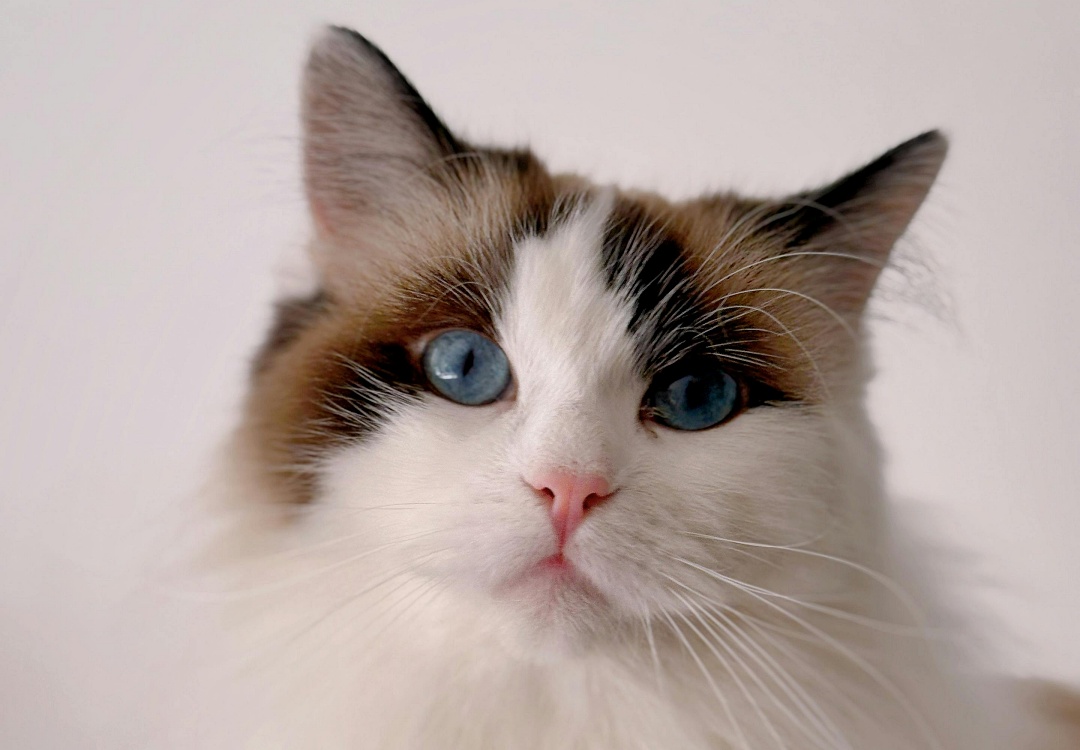 心理のイメージ