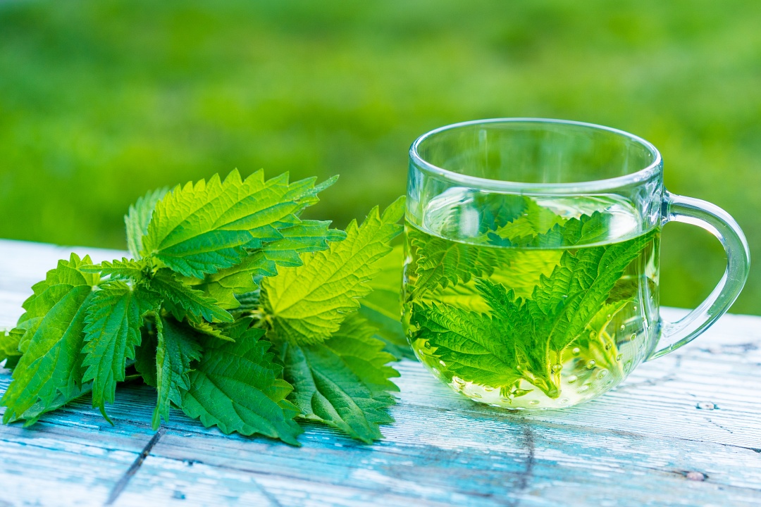 ネトルティー（やさしい光のカップ）