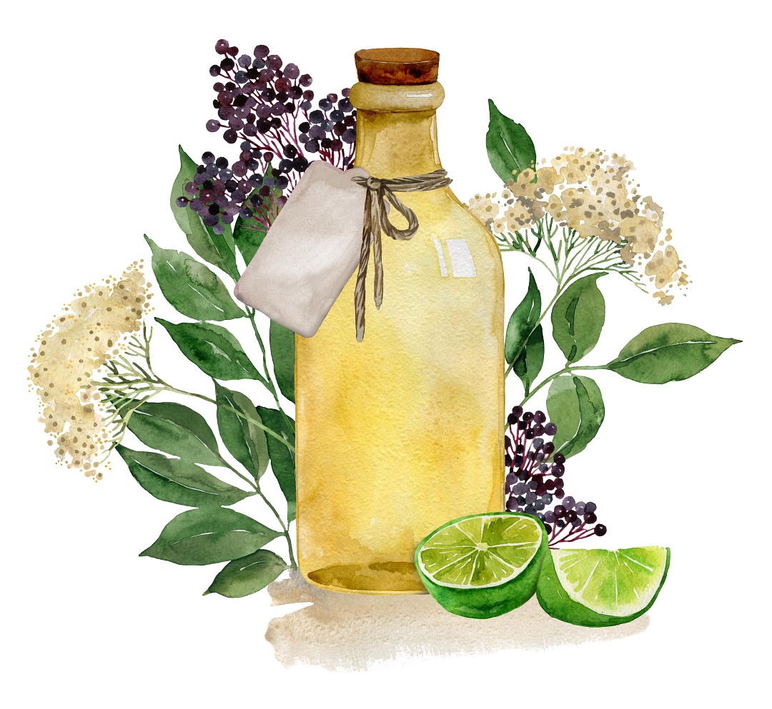 エルダーフラワーティー