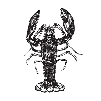 蟹座のイメージ