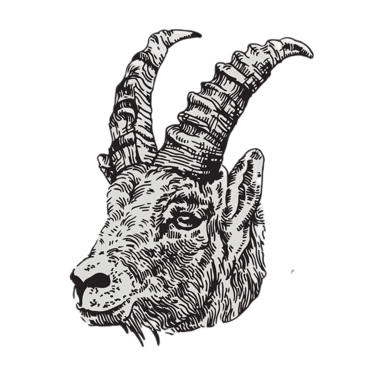 山羊座のイメージ