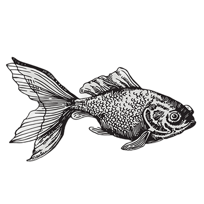 魚座のイメージ