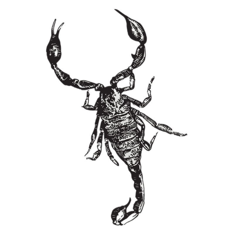 蠍座のイメージ