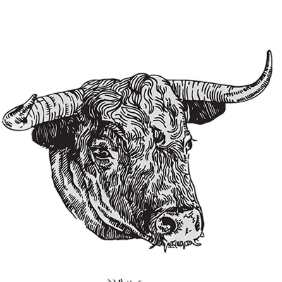 牡牛座のイメージ