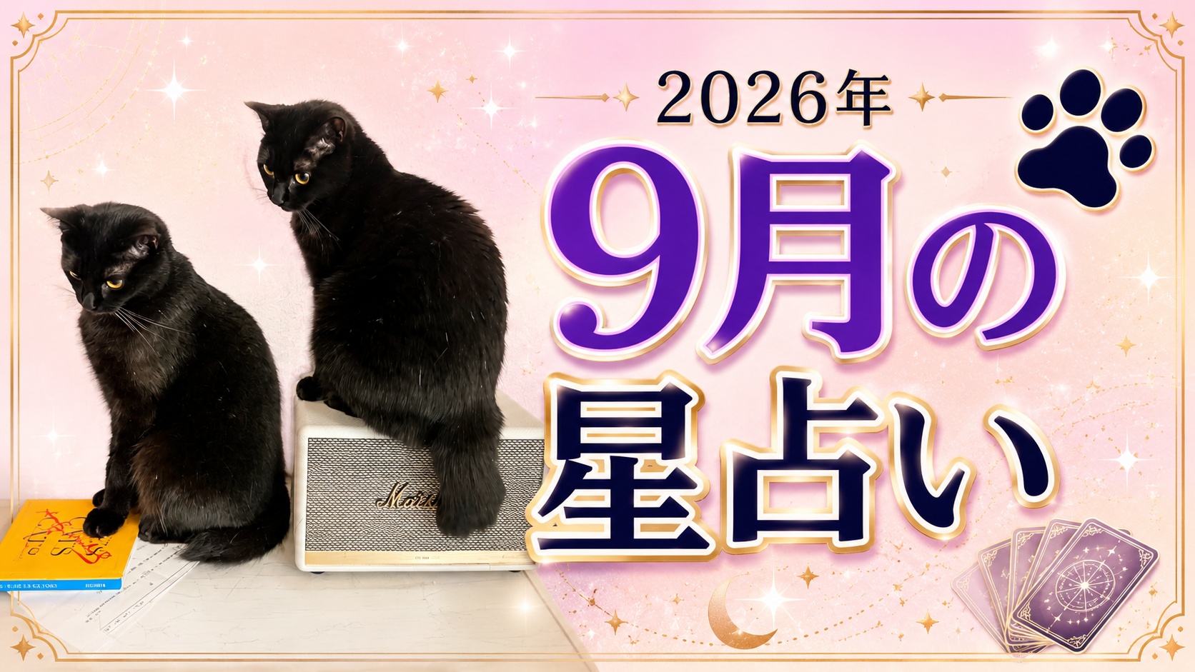 黒猫ミントの9月の星占い